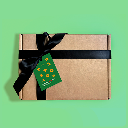 Datebox-letlovegrow2